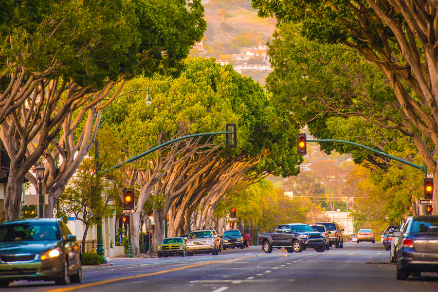 palisades city food delivery